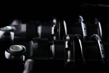 Photo - Close Up