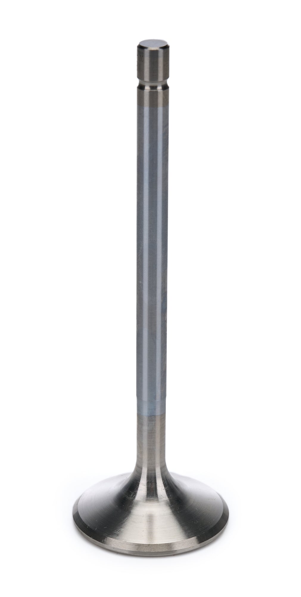 AFR7268-1.jpg