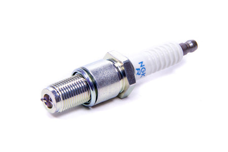 NGKR6725-11.jpg