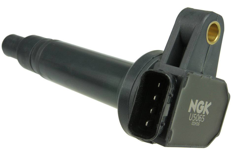 NGKU5065.jpg